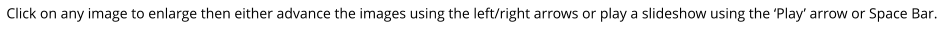 Click on any image to enlarge then either advance the images using the left/right arrows or play a slideshow using the ‘Play’ arrow or Space Bar.