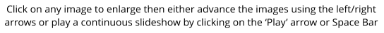 Click on any image to enlarge then either advance the images using the left/right  arrows or play a continuous slideshow by clicking on the ‘Play’ arrow or Space Bar