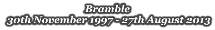 Bramble   30th November 1997 - 27th August 2013